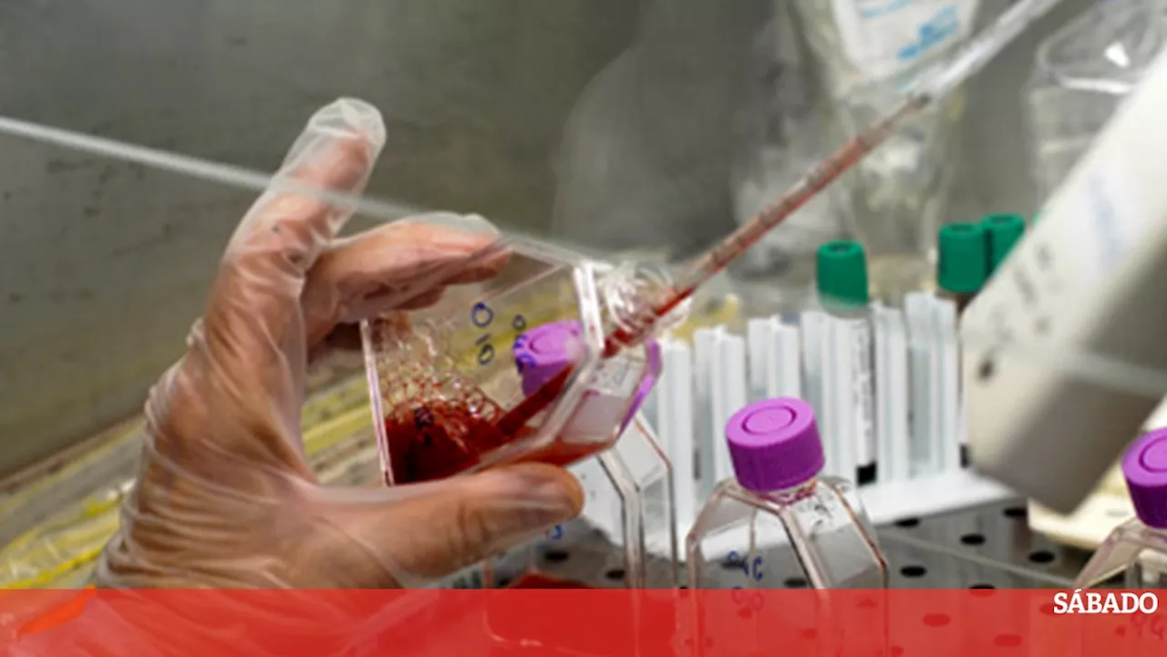 Portugal registou 924 novos casos de VIH em 2023