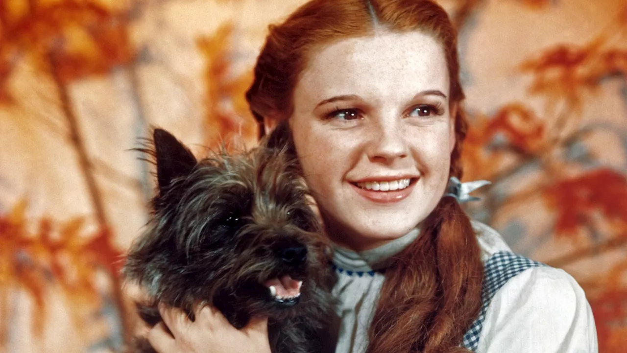 Three Myths (And Three Odd Truths) About ‘The Wizard of Oz’