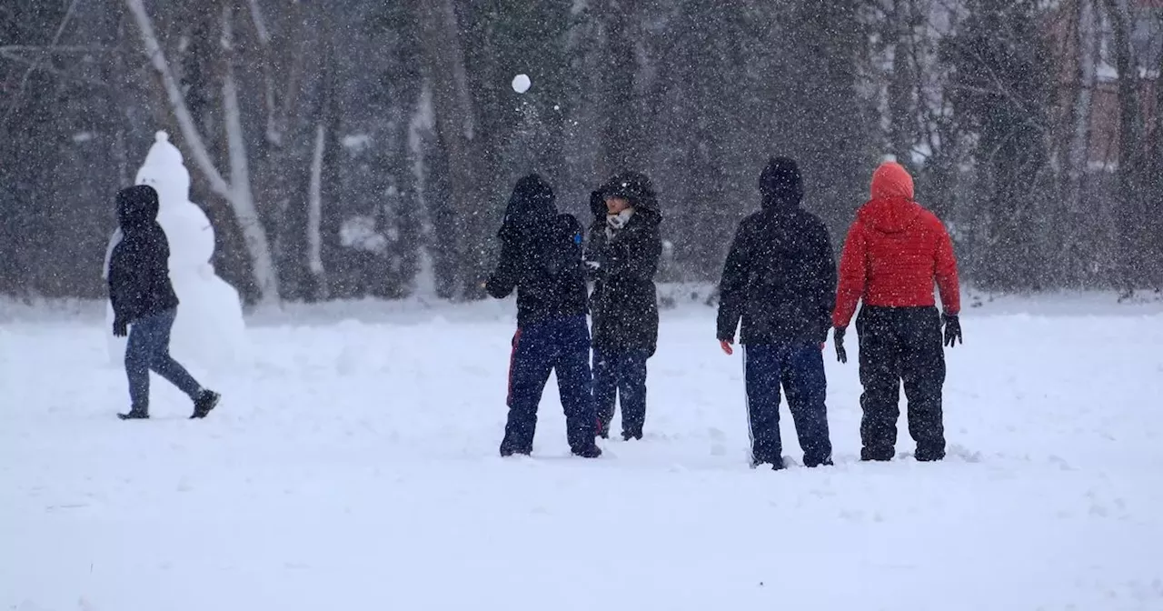 Met Eireann Rules Out White Christmas for Ireland in December Forecast