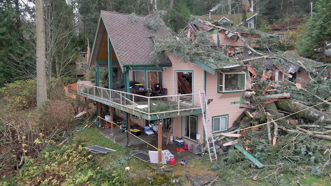 80-Meter-Baum spaltet Haus der Familie McKelvie in Washington (USA)