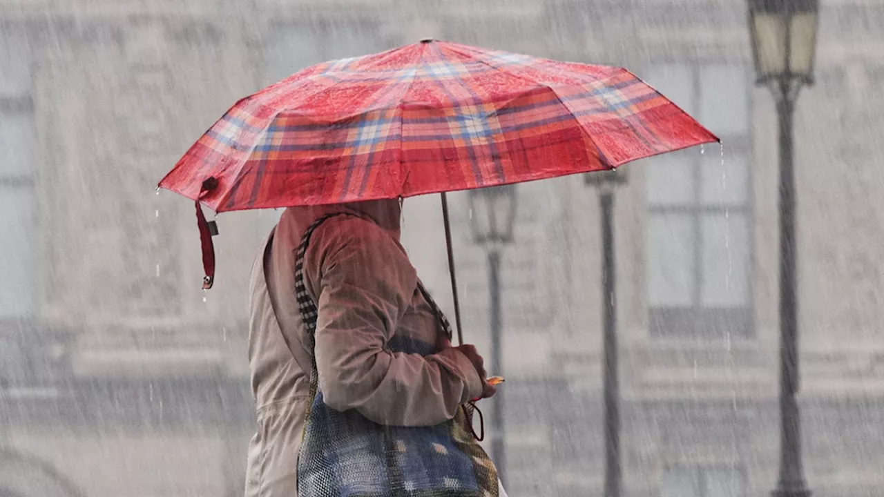 Uccle bat son record de pluies en 2024, malgré un nombre inférieur de jours de pluie