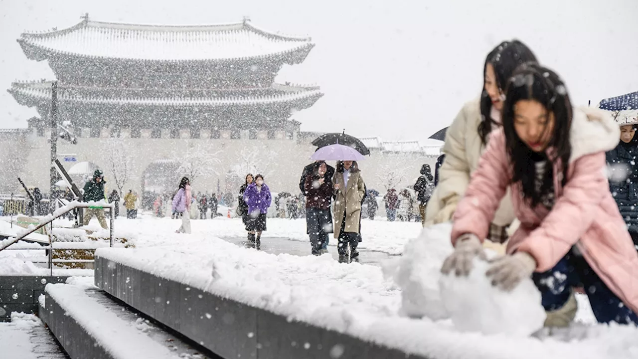 Record de Neige en Corée du Sud en Novembre