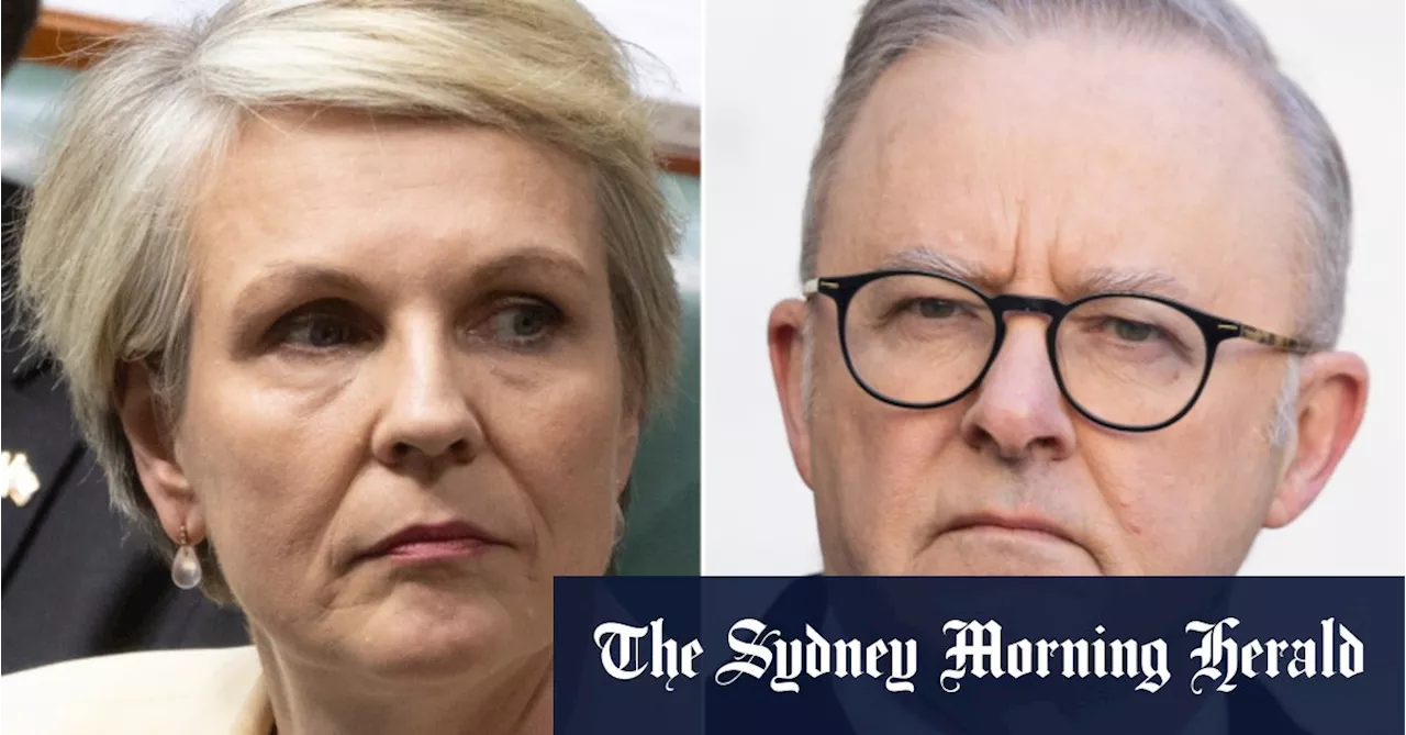 Albanese intervenes to scupper Plibersek’s negotiations with the Greens