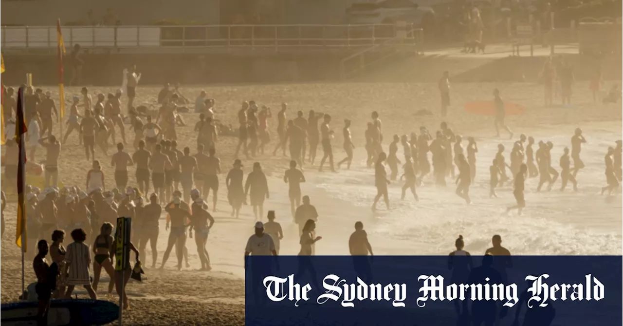 Sydney risks blackouts as heat soars and coal power plants falter