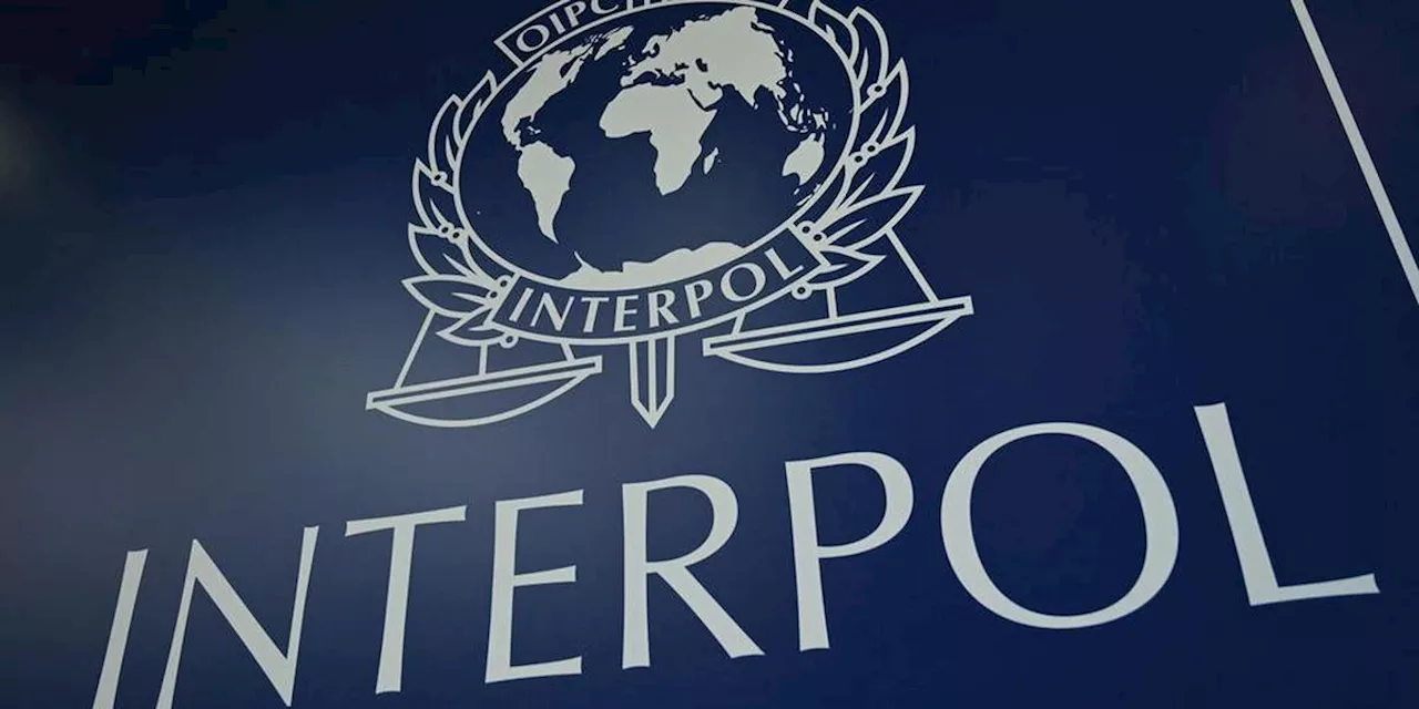 400 millions de dollars saisis, 5 500 arrestations : une année record pour Interpol dans la lutte contre les arnaques en ligne