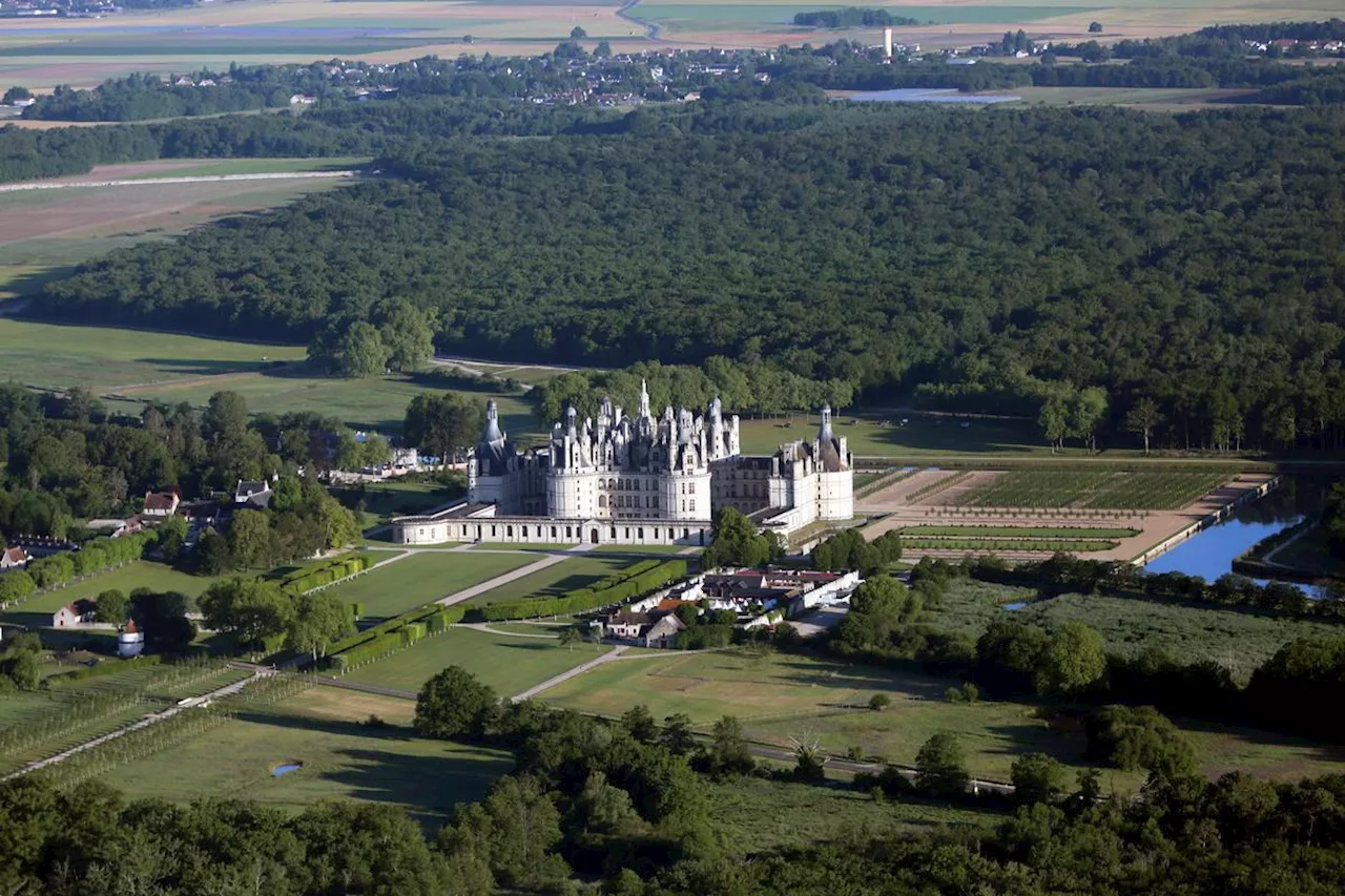 Comment Chambord repense sa forêt en mosaïque