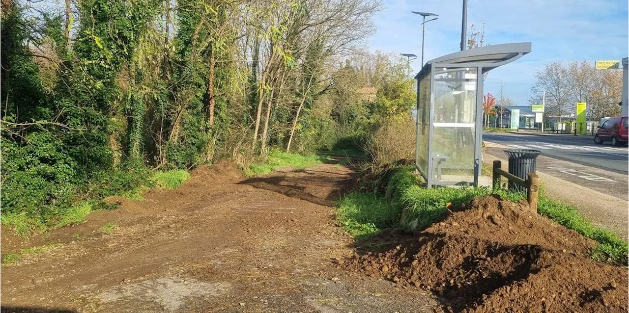 Conflit de voisinage près de Marmande : la guinguette du Coussoulat a-t-elle eu gain de cause ?