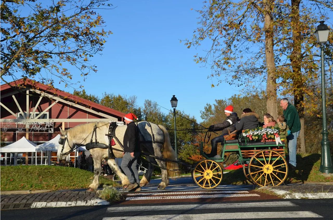 Mouguerre : le traditionnel marché de Noël investit la salle Haitz Ondoan samedi 30 novembre