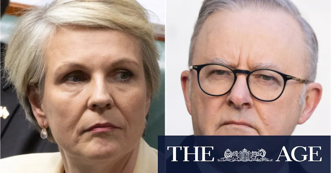 Albanese intervenes to scupper Plibersek’s negotiations with the Greens