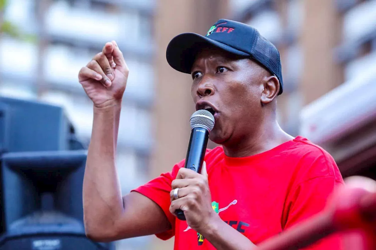 Malema Orders Legal Action Against Zuma for Unpaid Debts