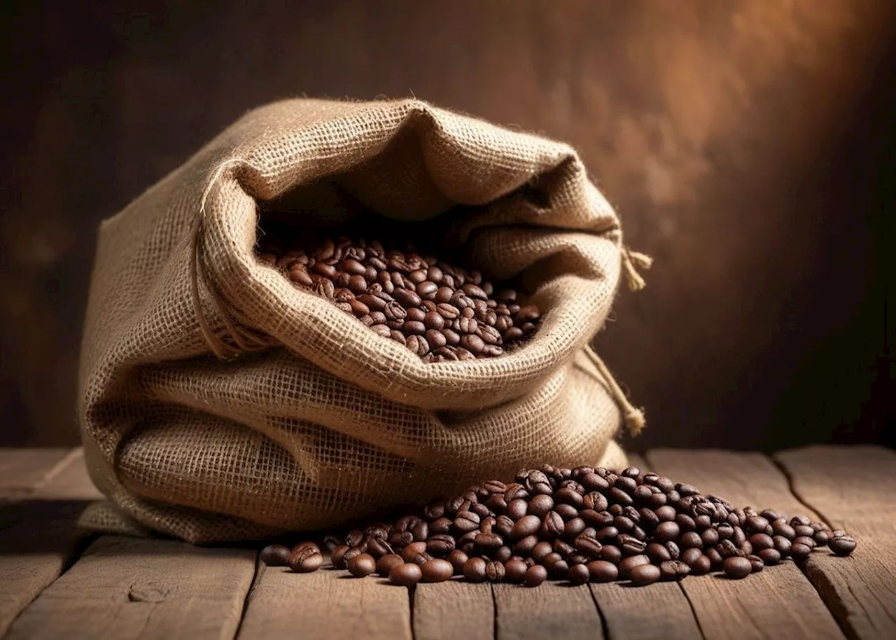 Coffee crisis: Price hits highest level since 1977 on Brazil crop fears