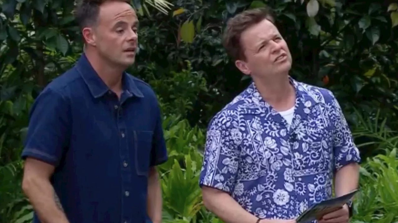 I'm A Celebrity Fans Upset With Ant and Dec's Excessive Help for Tulisa