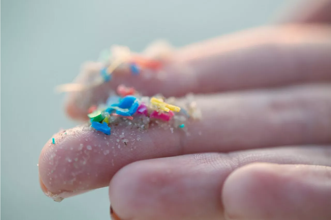 Canadians pollute 1,465 tonnes of microplastics every year, finds report