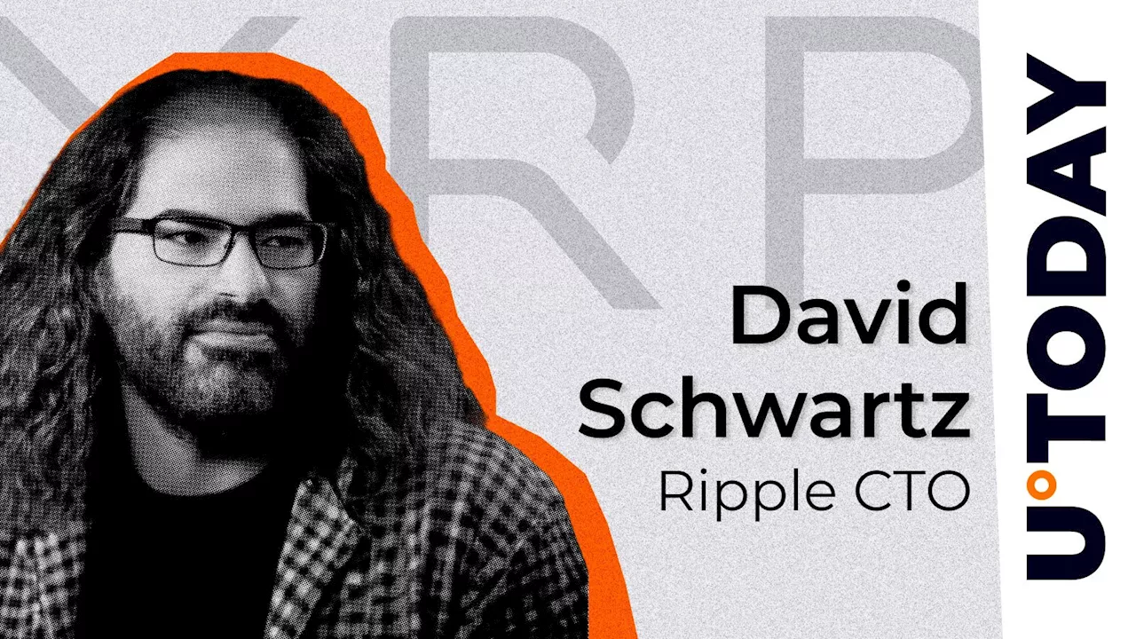 'Intensely Private': Ripple CTO Sheds Lights on Mysterious XRP Co-Creator