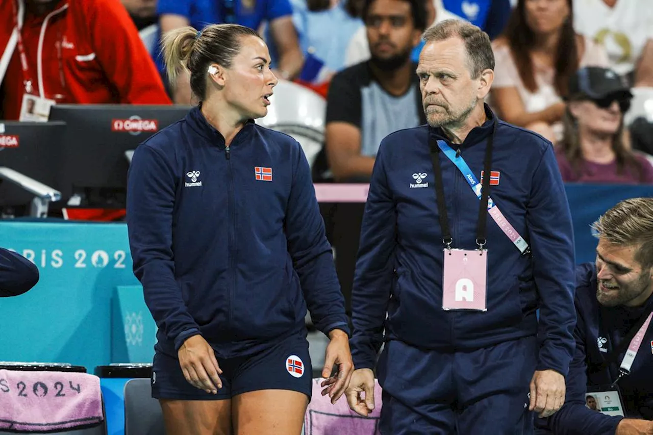 Norges Håndballstjener Mørk og Dahmke Eksperter Under EM