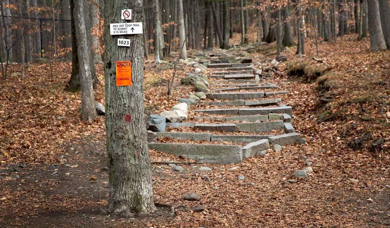 Skip shopping and stroll: Mass. offers 6 free guided hikes on Black Friday