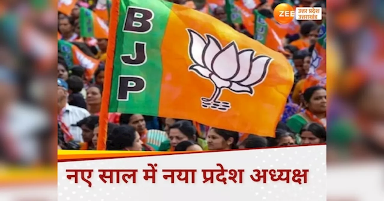 यूपी को नए साल में मिलेगा नया BJP अध्यक्ष, दलित-पिछड़ा या ब्राह्मण किस पर दांव लगाएगी पार्टी