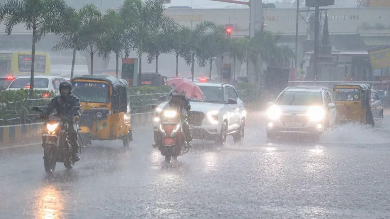 Chennai School Holiday: Check Todays Weather Forecast; IMD Issues Alert In Tamil Nadu