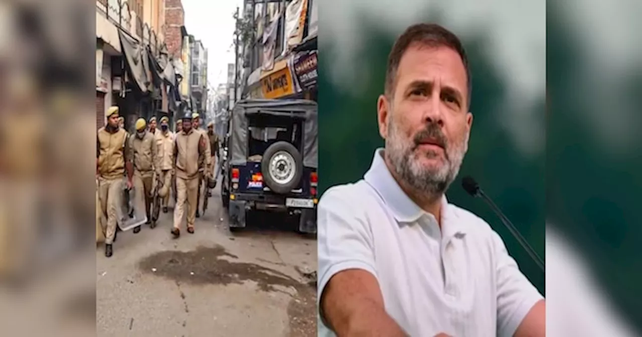 Sambhal Violence: राहुल गांधी के संभल जाने की सूचना से हड़कंप, जिले की सभी सीमाएं सील और बाहरी लोगों के प्रवेश पर रोक