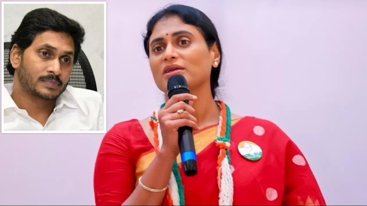 YS Sharmila: అదానీ ఒప్పందంపై జగన్‌ తన బిడ్డలపై ప్రమాణం చేయాలి.. వైఎస్‌ జగన్‌కు షర్మిల ఛాలెంజ్‌!