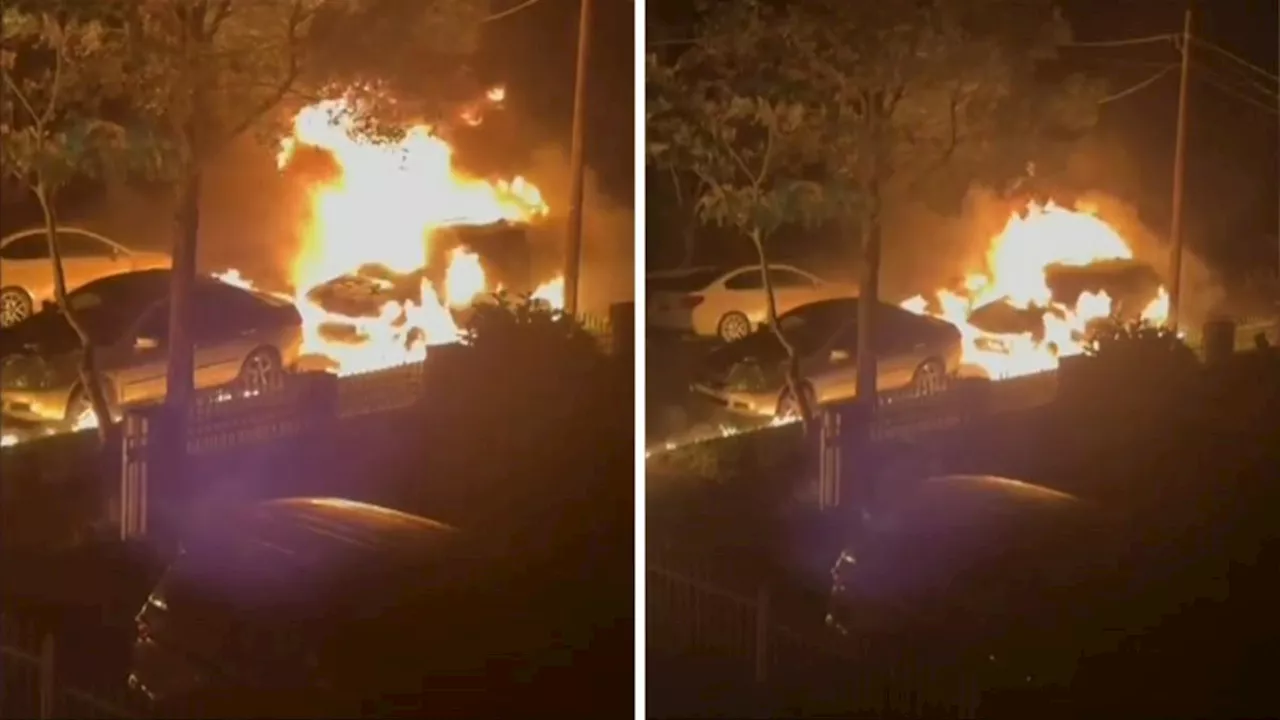 Car gutted by fire and several others damaged in Sydney blaze