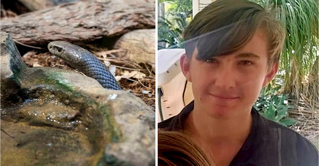 16-Year-Old Dies After Snake Bite at Family Home