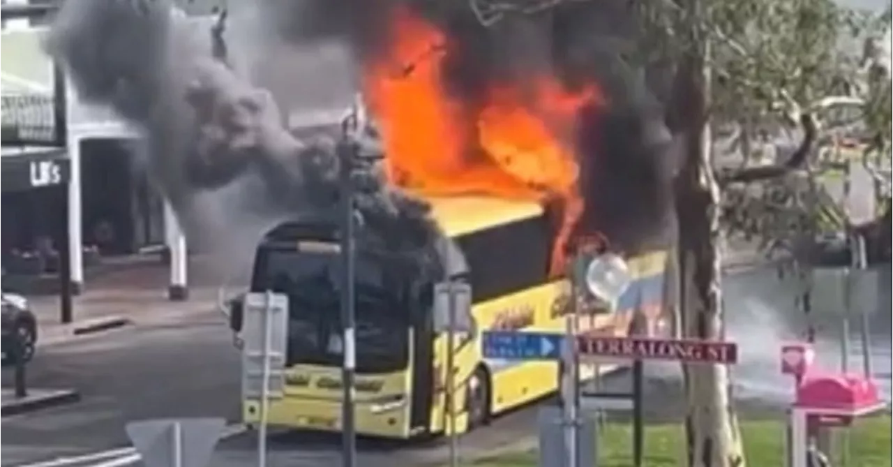 Bus driver, local hailed heroes after helping children escape school bus fire on NSW South Coast