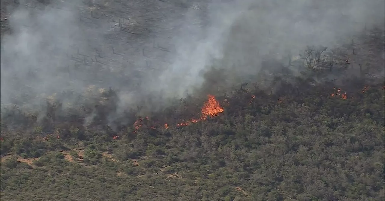 Hundreds of Firefighters Battle Bushfire Threatening Communities North of Perth