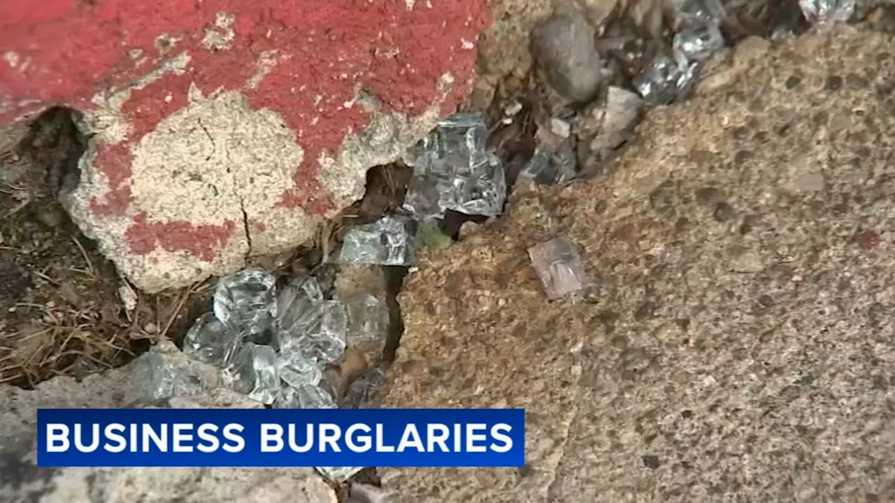 Chicago police warn of burglary spree targeting 18 businesses across city throughout last month