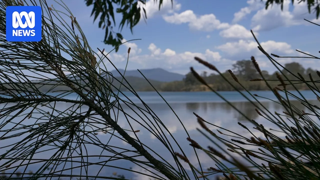 Indigenous elders welcome Wagonga ancestor to Walbjunja country, NSW, for reburial