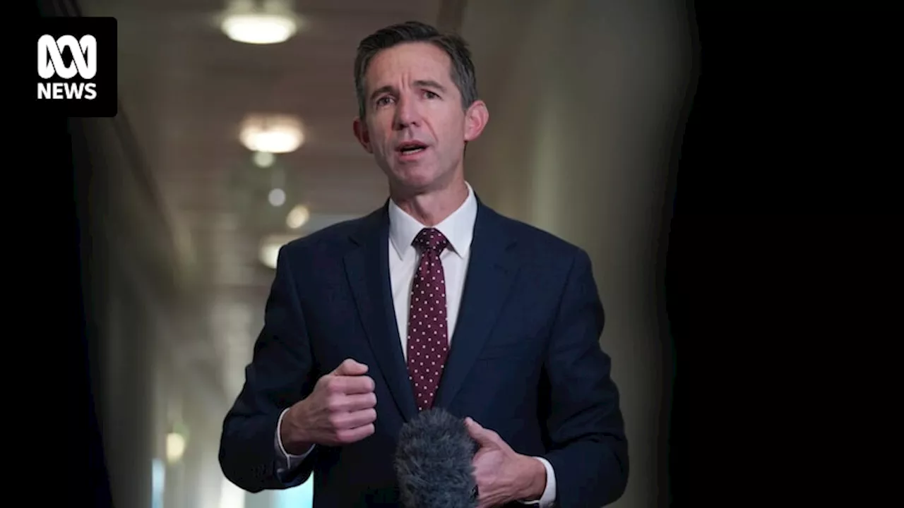 Liberal senator Simon Birmingham to retire from politics