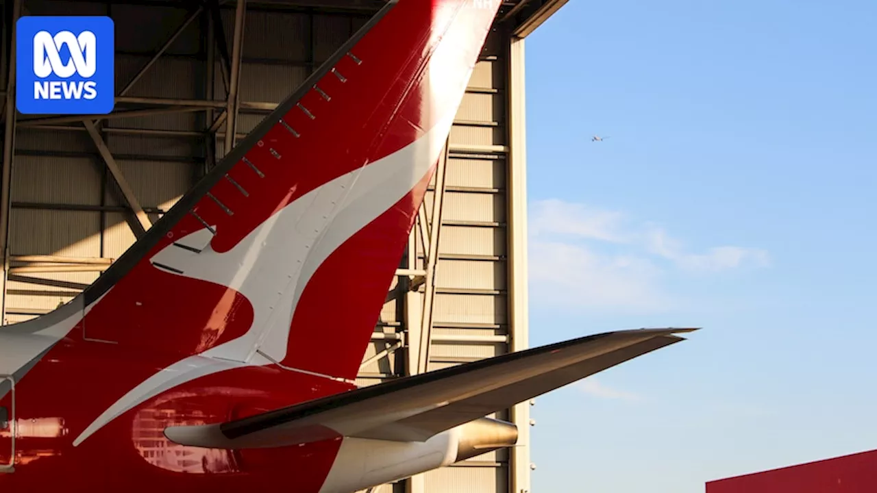 Northern Territory ministers declare exclusive Qantas Chairman's Lounge memberships after CLP's election win