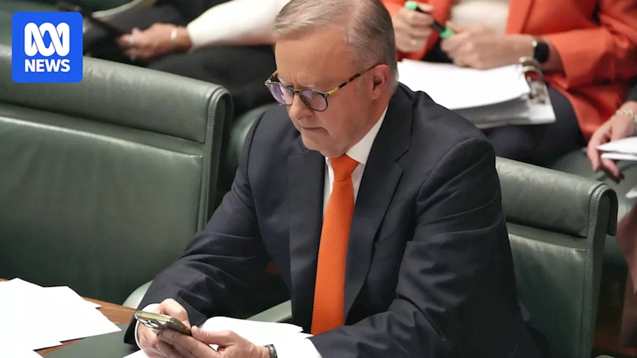 Prime Minister Albanese Intervenes in Legislation Chaos