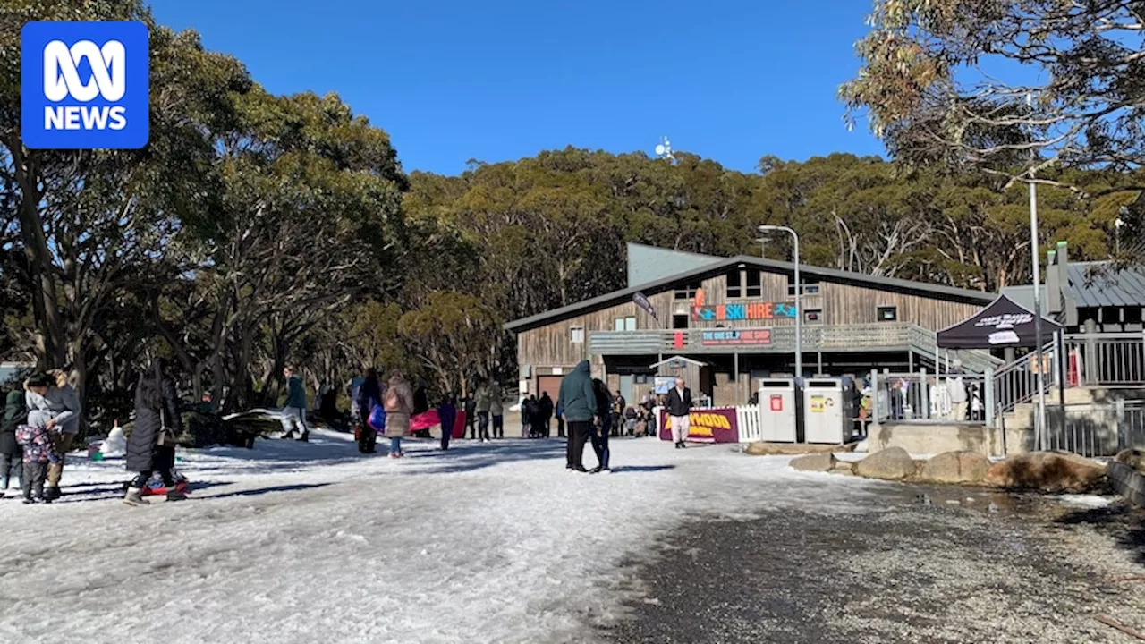 Victorian government puts Mount Baw Baw and Lake Mountain snow resorts up for lease