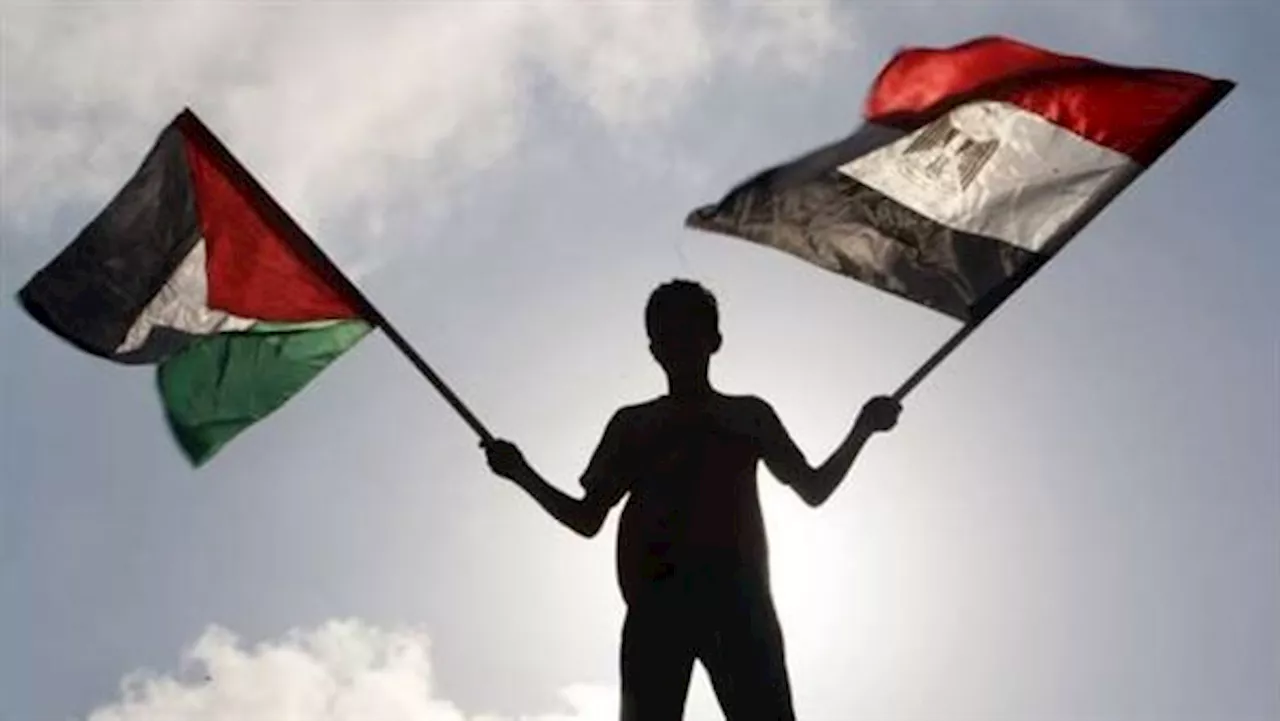 اليوم العالمي للتضامن مع الشعب الفلسطيني: تجديد التزام المجتمع الدولي ودعم حقوق الشعب الفلسطيني