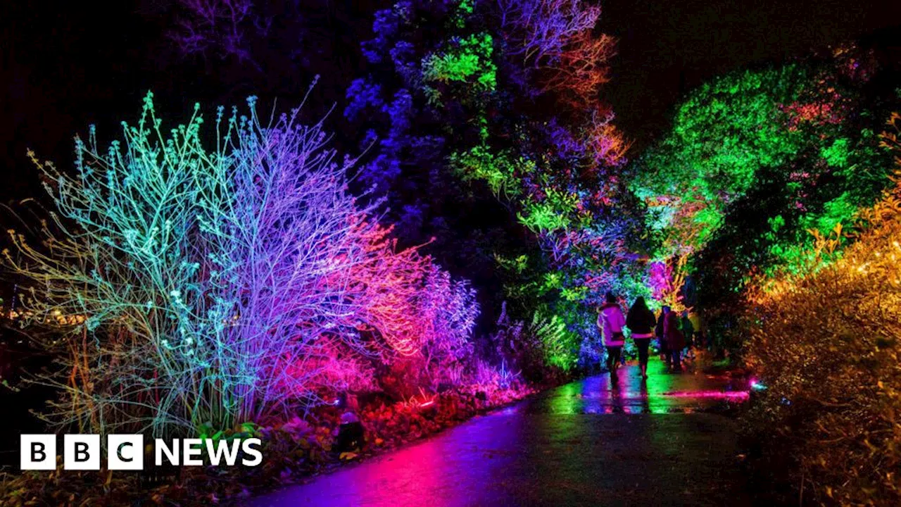 Romsey lights show to go ahead despite £80k cable theft