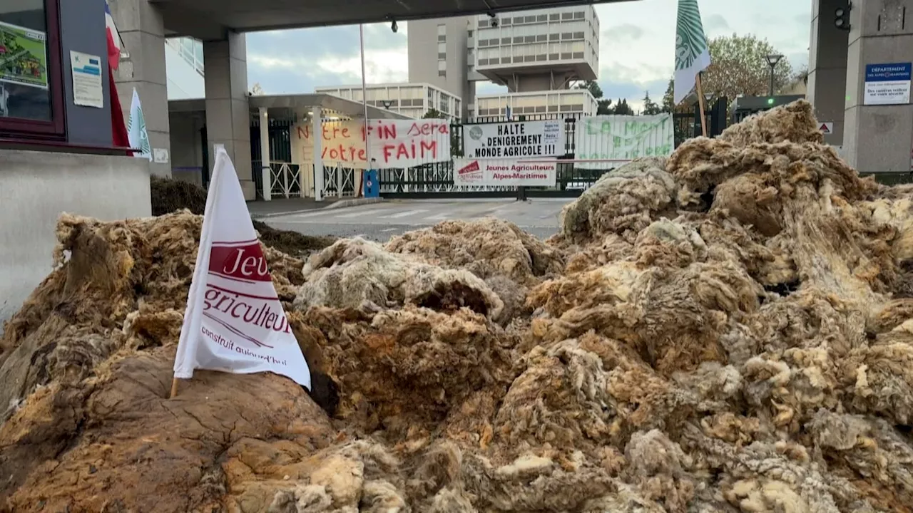 Freins administratifs, spéculation, manque de moyens: les agriculteurs des Alpes-Maritimes se mobilisent