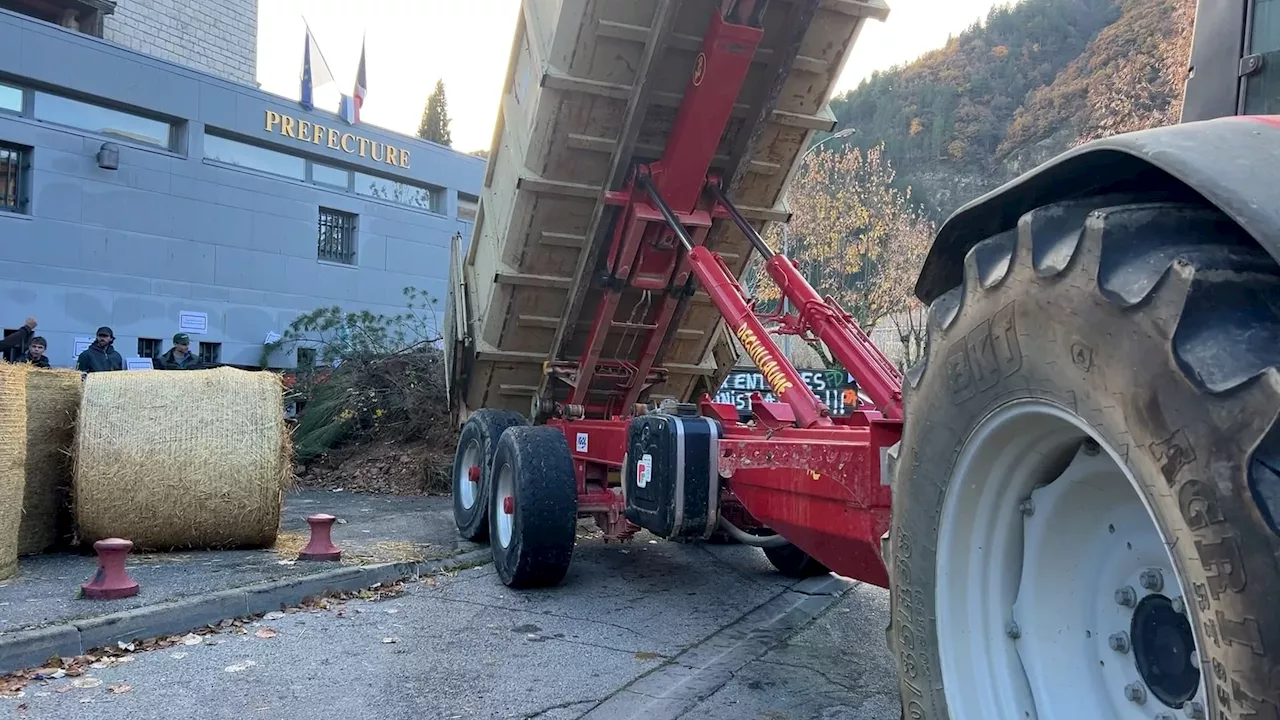 'On défend notre métier': nouvelle action des agriculteurs à Digne-les-Bains