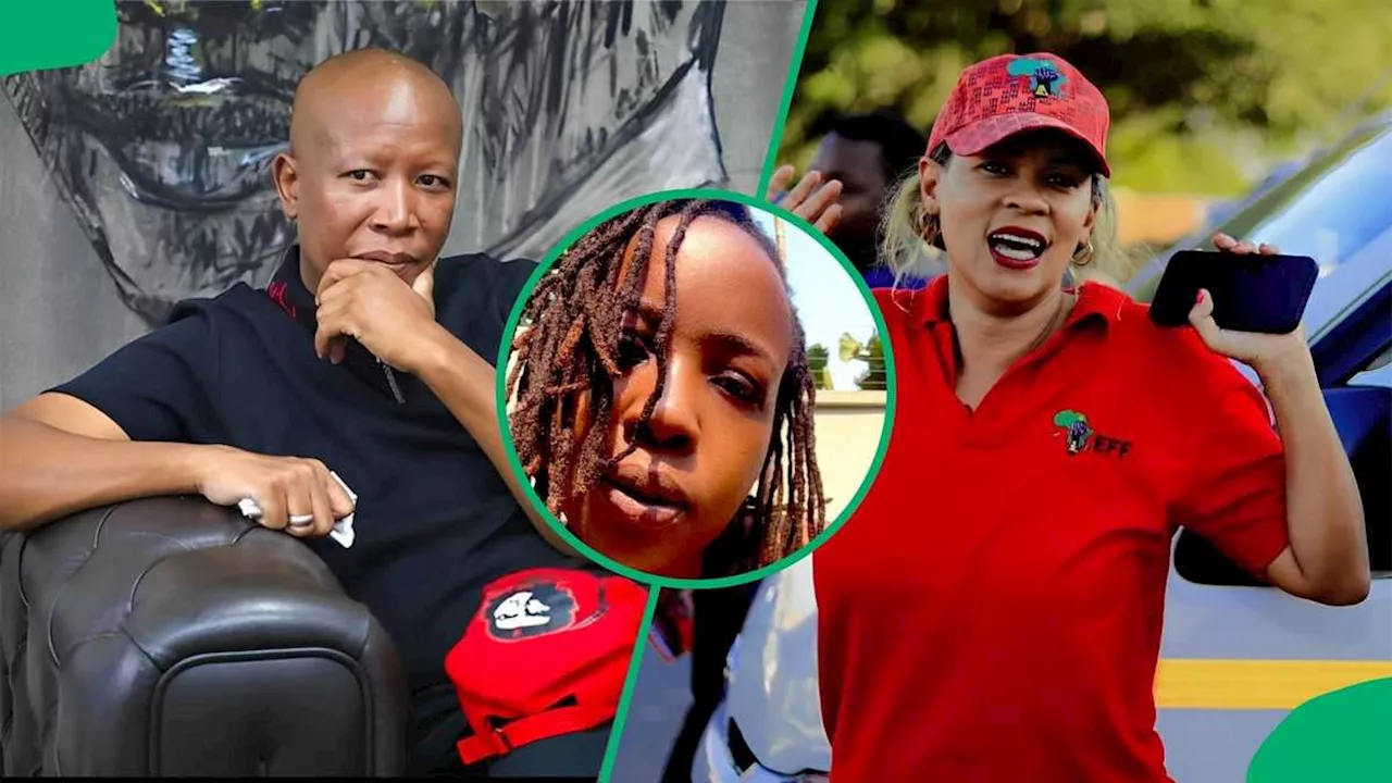 Ntsiki Mazwai Mocks Leigh-Ann Mathys Following Malema's Rude Reprimand