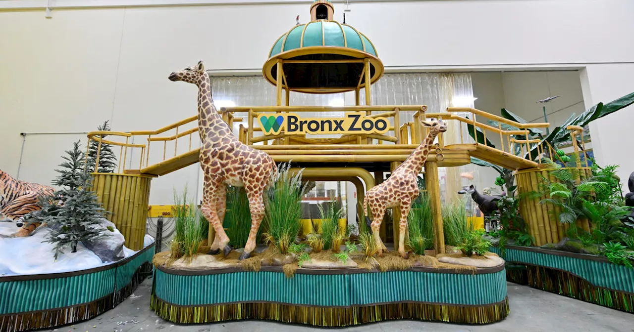 Bronx Zoo debuts 1st float in Macy's Thanksgiving Day Parade