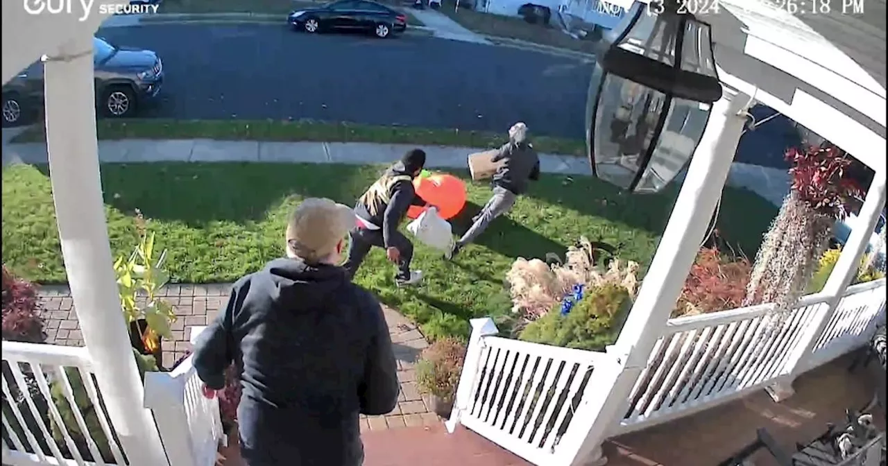 Hackers shipped unauthorized purchases to Long Island home, then porch pirates swiped package, family says