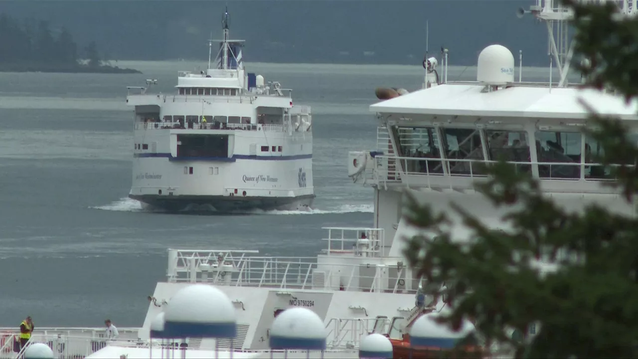 BC Ferries would need 30% fare increase by 2028 to keep up with costs: CEO