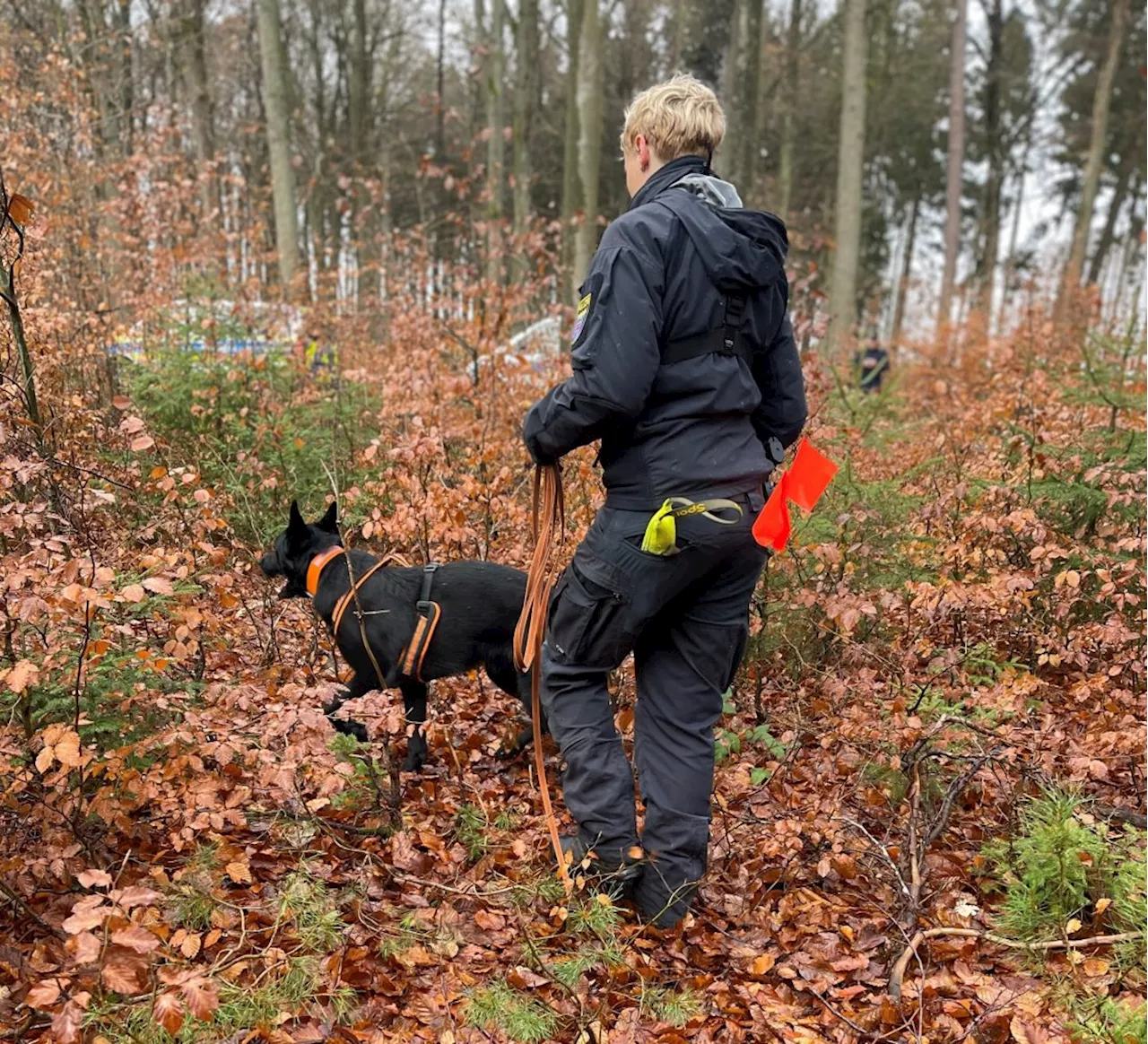 Tötungsdelikt Melanie Frank: Großaufgebot der hessischen Polizei sucht Waldstück erneut ab und bittet nochmals um Hinweise