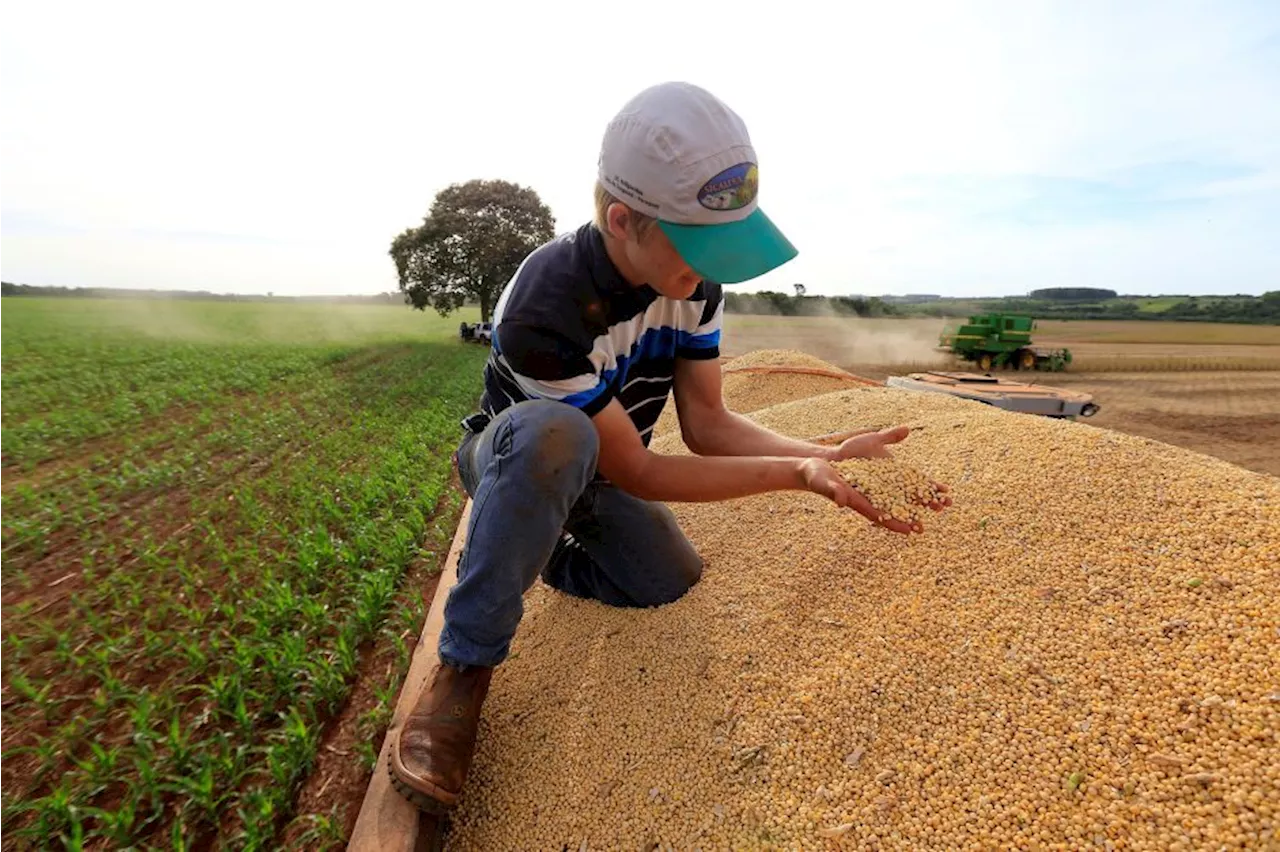 Avanço de preços ao produtor no Brasil acelera a 0,94% em outubro, diz IBGE