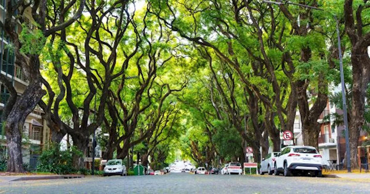 Buenos Aires Seleccionada Como la Segunda Ciudad Más Linda de América Latina