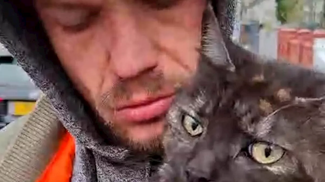 Neighbor Confronts Man Accused of Stealing Single Mother's Pet Cat