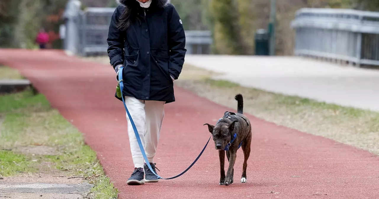 First widespread freeze of the season expected in North Texas Friday