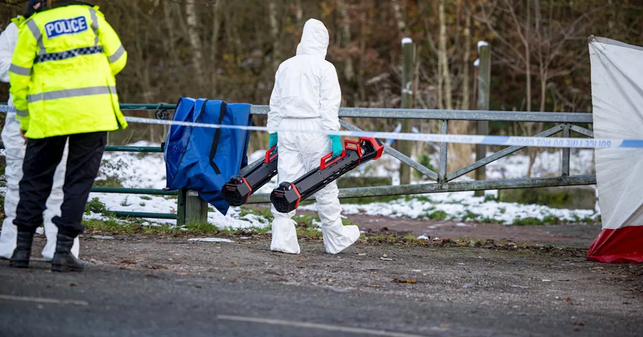 Baby remains found in field confirmed as newborn girl