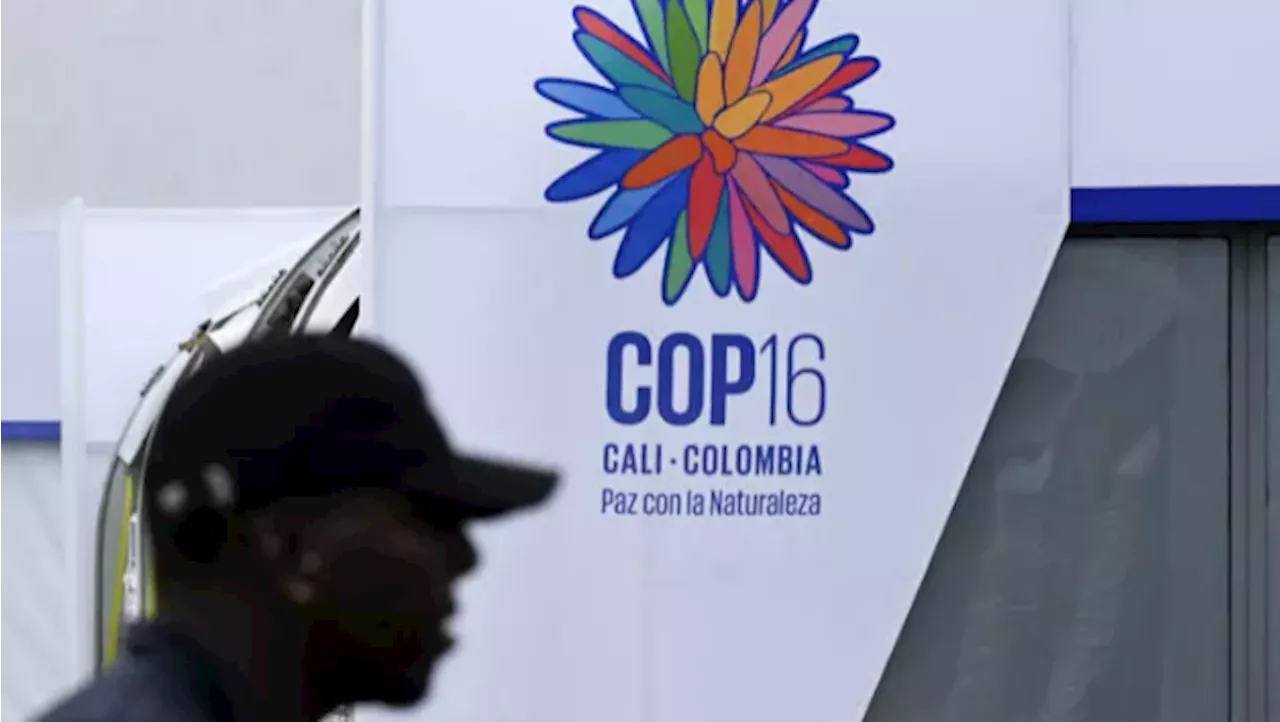 COP16 continuará del 25 al 27 de febrero en Roma, Italia