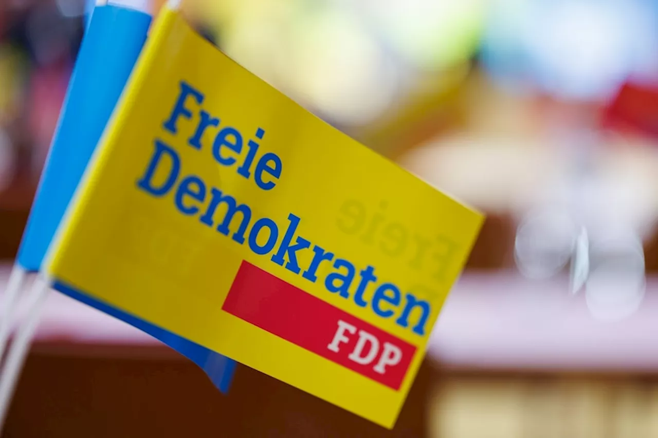 FDP-Papier: «D-Day-Szenario» zu Koalitionsbruch